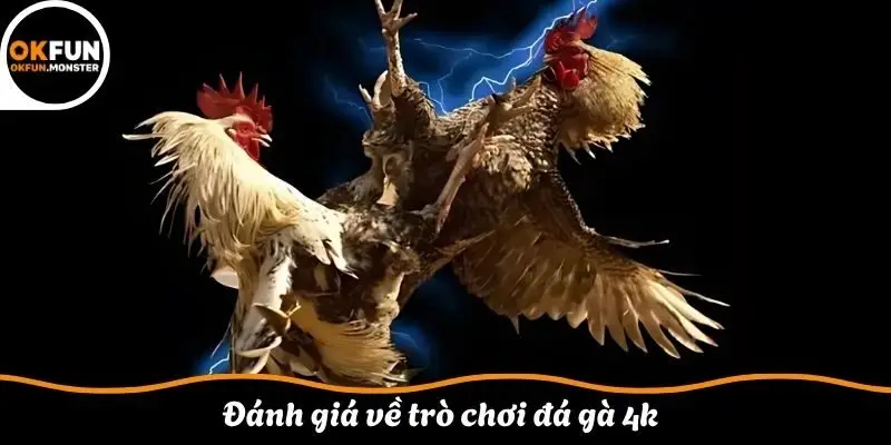 Đánh giá về trò chơi đá gà 4k 