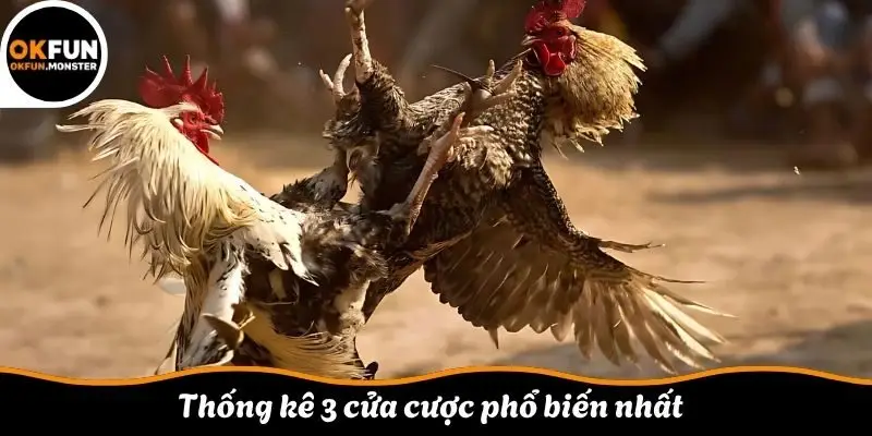  Thống kê 3 cửa cược phổ biến nhất 