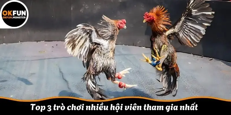 Top 3 trò chơi nhiều hội viên tham gia nhất 