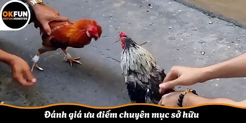 Đánh giá ưu điểm chuyên mục sở hữu 